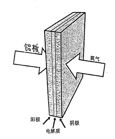 图1  单元铝燃料电池示意图.